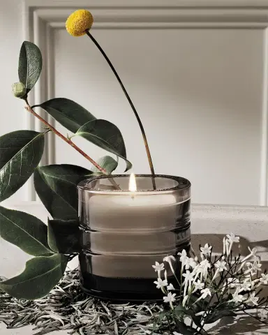 Diptyque La Vallee du Temps (Valley of Time) Refillable Candle, 9.5 oz. | Thumbnail 3 Diptyque La Vallee du Temps (Valley of Time) Refillable Candle, 9.5 oz. | Thumbnail 3