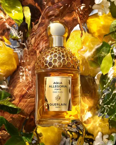 Guerlain Aqua Allegoria Oud Yuzu Forte Eau de Parfum, 2.5 oz. | Thumbnail 2 Guerlain Aqua Allegoria Oud Yuzu Forte Eau de Parfum, 2.5 oz. | Thumbnail 2