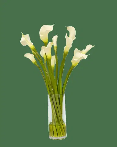 Winward Home Calla Lily Faux Floral Arrangement in Cylinder Vase | Thumbnail 2 Winward Home Calla Lily Faux Floral Arrangement in Cylinder Vase | Thumbnail 2