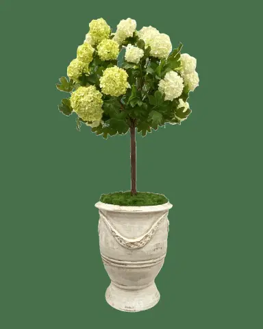 Winward Home Faux Snowball Tree in Rutherford Planter - 49"T | Thumbnail 2 Winward Home Faux Snowball Tree in Rutherford Planter - 49"T | Thumbnail 2