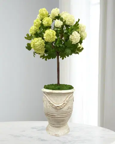 Winward Home Faux Snowball Tree in Rutherford Planter - 49"T | Thumbnail 1 Winward Home Faux Snowball Tree in Rutherford Planter - 49"T | Thumbnail 1