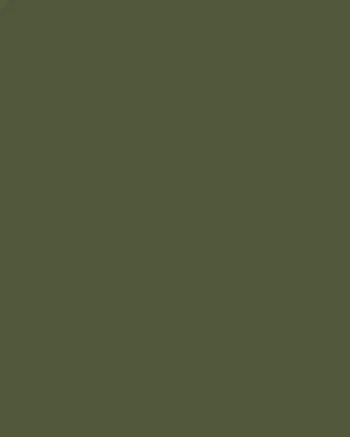 Kim Seybert Napkin Classic, Olive | Thumbnail 3 Kim Seybert Napkin Classic, Olive | Thumbnail 3