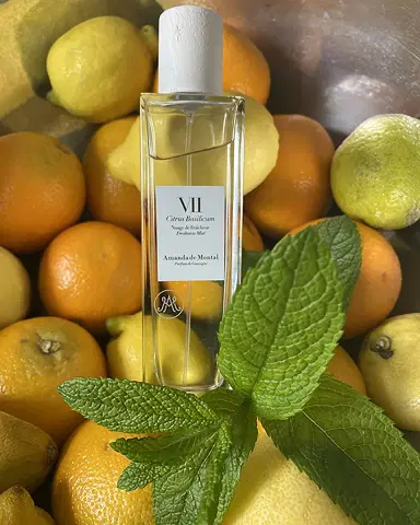 Amanda de Montal Citrus Basilicum Freshness Mist, 3.3 oz. | Thumbnail 2 Amanda de Montal Citrus Basilicum Freshness Mist, 3.3 oz. | Thumbnail 2