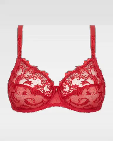 Lise Charmel Charming Three-Part Guipure Lace Bra | Thumbnail 2 Lise Charmel Charming Three-Part Guipure Lace Bra | Thumbnail 2