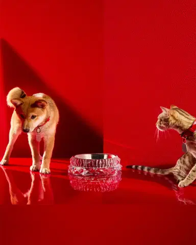 Baccarat Louxor Crystal Pet Bowl, Large | Thumbnail 3 Baccarat Louxor Crystal Pet Bowl, Large | Thumbnail 3