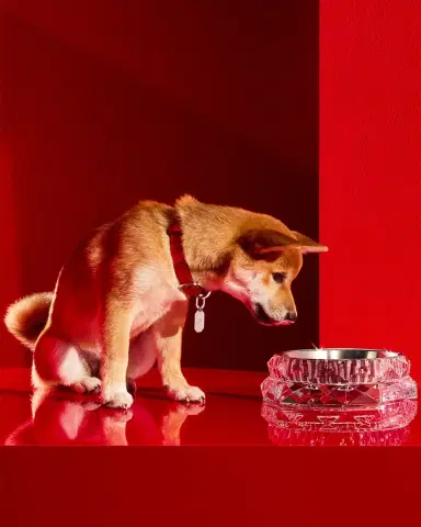 Baccarat Louxor Crystal Pet Bowl, Large | Thumbnail 5 Baccarat Louxor Crystal Pet Bowl, Large | Thumbnail 5