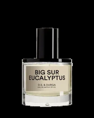 D.S. & DURGA Big Sur Eucalyptus Eau De Parfum, 50 mL | Thumbnail 2 D.S. & DURGA Big Sur Eucalyptus Eau De Parfum, 50 mL | Thumbnail 2