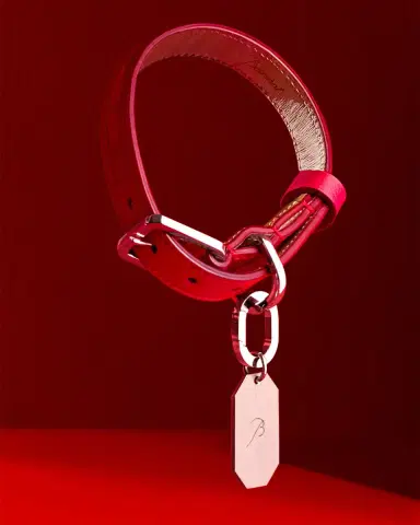 Baccarat Louxor Pet Collar, Large | Thumbnail 2 Baccarat Louxor Pet Collar, Large | Thumbnail 2