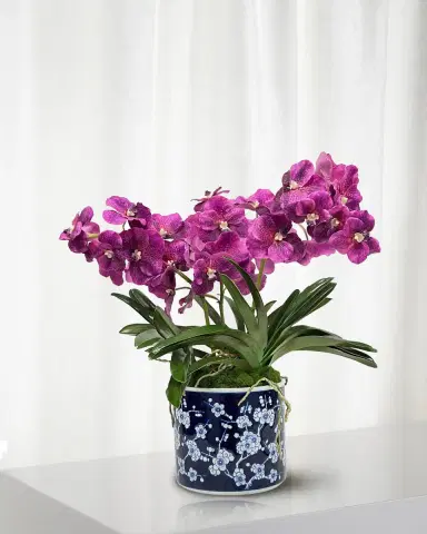 Winward Home Vanda Orchid 21" Faux Floral Arrangement in Porcelain Pot | Thumbnail 1 Winward Home Vanda Orchid 21" Faux Floral Arrangement in Porcelain Pot | Thumbnail 1