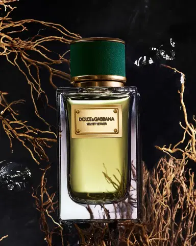 Dolce & Gabbana Beauty Velvet Vetiver Eau de Parfum, 3.3 oz. | Thumbnail 2 Dolce & Gabbana Beauty Velvet Vetiver Eau de Parfum, 3.3 oz. | Thumbnail 2
