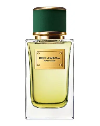 Dolce & Gabbana Beauty Velvet Vetiver Eau de Parfum, 3.3 oz. | Thumbnail 1 Dolce & Gabbana Beauty Velvet Vetiver Eau de Parfum, 3.3 oz. | Thumbnail 1