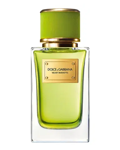 Dolce & Gabbana Beauty Velvet Mughetto Eau de Parfum, 3.3 oz. | Thumbnail 1 Dolce & Gabbana Beauty Velvet Mughetto Eau de Parfum, 3.3 oz. | Thumbnail 1