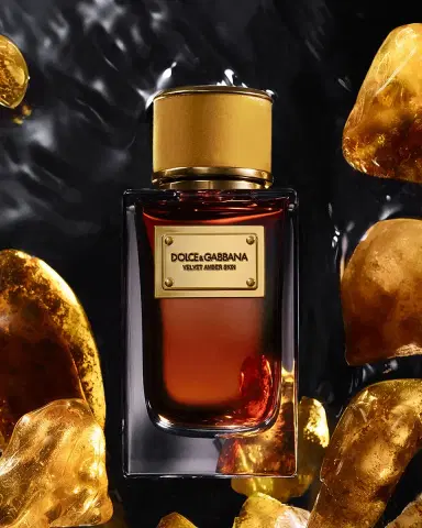 Dolce & Gabbana Beauty Velvet Amber Skin Eau de Parfum, 3.3 oz. | Thumbnail 2 Dolce & Gabbana Beauty Velvet Amber Skin Eau de Parfum, 3.3 oz. | Thumbnail 2