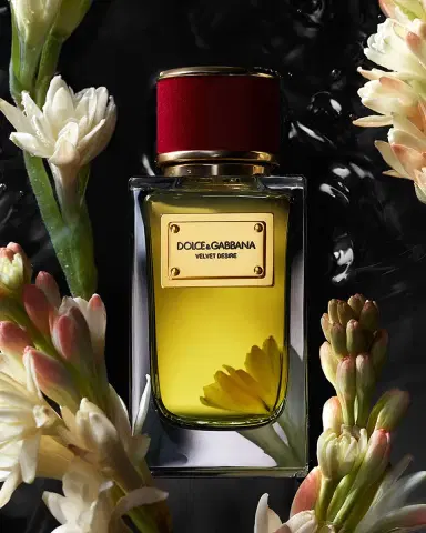 Dolce & Gabbana Beauty VELVET DESIRE Eau de Parfum, 3.3 oz. | Thumbnail 2 Dolce & Gabbana Beauty VELVET DESIRE Eau de Parfum, 3.3 oz. | Thumbnail 2