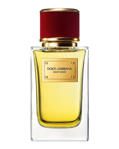 Dolce & Gabbana Beauty VELVET DESIRE Eau de Parfum, 3.3 oz. | Thumbnail 1 Dolce & Gabbana Beauty VELVET DESIRE Eau de Parfum, 3.3 oz. | Thumbnail 1