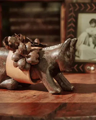 Jan Barboglio Mini Burro d 'Flores | Thumbnail 3 Jan Barboglio Mini Burro d 'Flores | Thumbnail 3