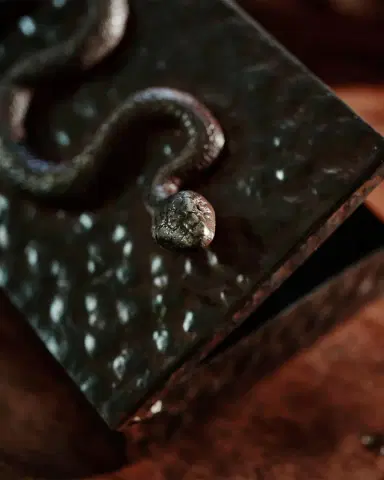 Jan Barboglio Nagini Snake Box | Thumbnail 3 Jan Barboglio Nagini Snake Box | Thumbnail 3