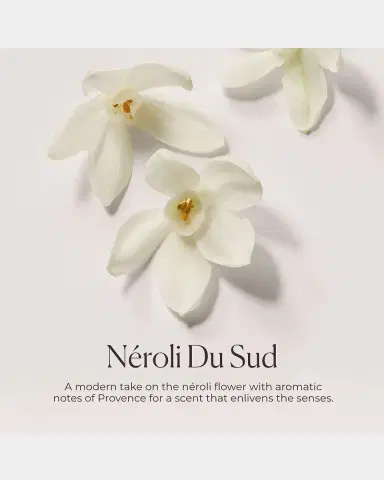 Laura Mercier Hydrating Body Wash Neroli Du Sud, 6.76 oz. | Thumbnail 4 Laura Mercier Hydrating Body Wash Neroli Du Sud, 6.76 oz. | Thumbnail 4