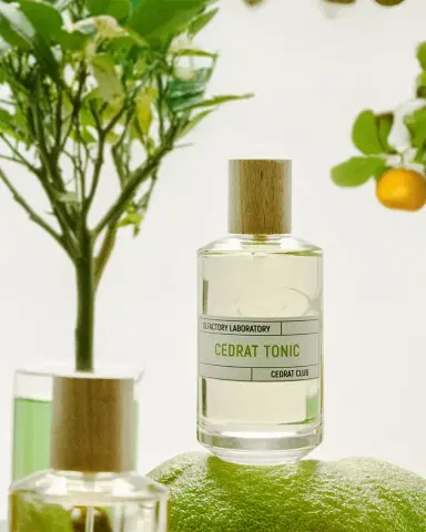 Liquides Imaginaires Cedrat Tonic Eau de Parfum, 3.4 oz. | Thumbnail 3 Liquides Imaginaires Cedrat Tonic Eau de Parfum, 3.4 oz. | Thumbnail 3