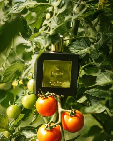 Miller Harris La Feuille Eau de Parfum, 3.4 oz. | Thumbnail 4 Miller Harris La Feuille Eau de Parfum, 3.4 oz. | Thumbnail 4