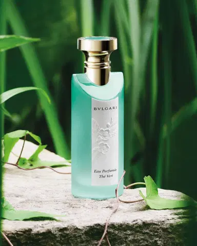 BVLGARI Eau Parfumée Thé Vert Eau de Toilette, 5 oz. | Thumbnail 3 BVLGARI Eau Parfumée Thé Vert Eau de Toilette, 5 oz. | Thumbnail 3