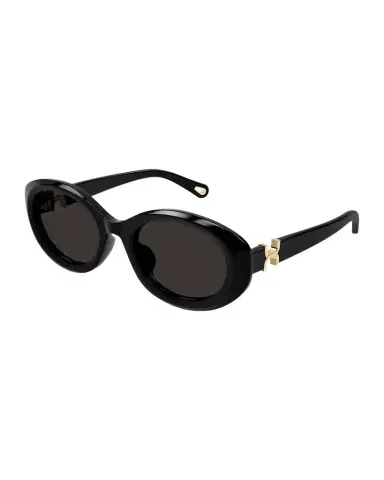 Chloé Marcie 50mm Oval Acetate Sunglasses | Thumbnail 1 Chloé Marcie 50mm Oval Acetate Sunglasses | Thumbnail 1