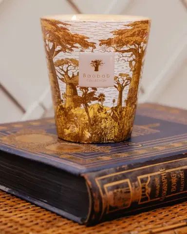 Baobab Collection Sacred Trees Bounkani 4-Wick Max 10 Candle, 1.3 kg | Thumbnail 2 Baobab Collection Sacred Trees Bounkani 4-Wick Max 10 Candle, 1.3 kg | Thumbnail 2