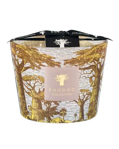 Baobab Collection Sacred Trees Bounkani 4-Wick Max 10 Candle, 1.3 kg | Thumbnail 1 Baobab Collection Sacred Trees Bounkani 4-Wick Max 10 Candle, 1.3 kg | Thumbnail 1