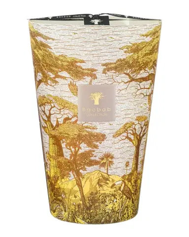 Baobab Collection Sacred Trees Bounkani 7-Wick Max 35 Candle, 10.35 kg | Thumbnail 1 Baobab Collection Sacred Trees Bounkani 7-Wick Max 35 Candle, 10.35 kg | Thumbnail 1