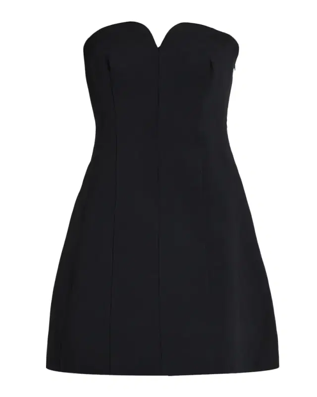 Devin Bustier Mini Dress Devin Bustier Mini Dress