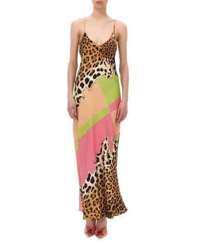 Roberto Cavalli Colorblock Jaguar-Print Silk Maxi Slip Dress | Thumbnail 1 Roberto Cavalli Colorblock Jaguar-Print Silk Maxi Slip Dress | Thumbnail 1