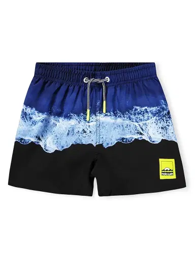 MOLO Little Boy's & Boy's Shore Print Board Shorts | Thumbnail 1 MOLO Little Boy's & Boy's Shore Print Board Shorts | Thumbnail 1