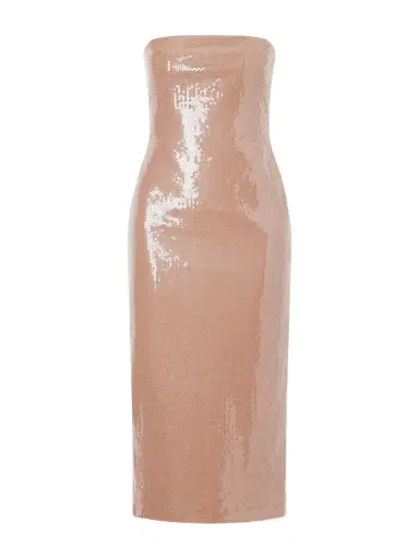Alex Perry Strapless Sequined Stretch-mesh Gown | Thumbnail 1 Alex Perry Strapless Sequined Stretch-mesh Gown | Thumbnail 1