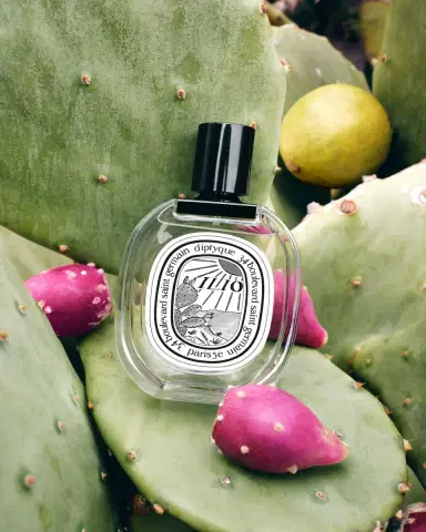 DIPTYQUE Ilio Eau de Toilette, 3.4 oz. | Thumbnail 4 DIPTYQUE Ilio Eau de Toilette, 3.4 oz. | Thumbnail 4