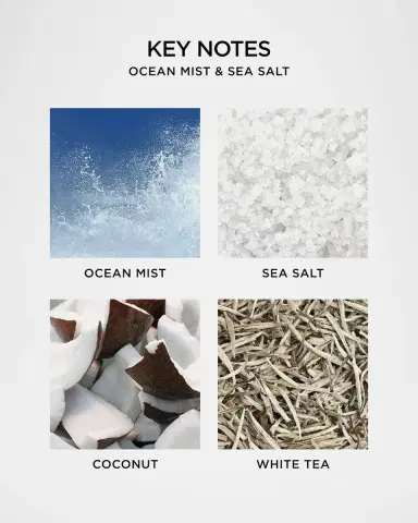 NEST New York Ocean Mist & Sea Salt Liquid Soap, 10 oz. | Thumbnail 5 NEST New York Ocean Mist & Sea Salt Liquid Soap, 10 oz. | Thumbnail 5