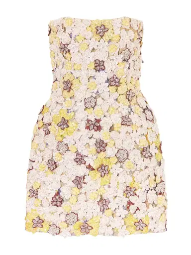 Costarellos Sierra Appliquéd Embroidered Tulle Mini Dress | Thumbnail 1 Costarellos Sierra Appliquéd Embroidered Tulle Mini Dress | Thumbnail 1