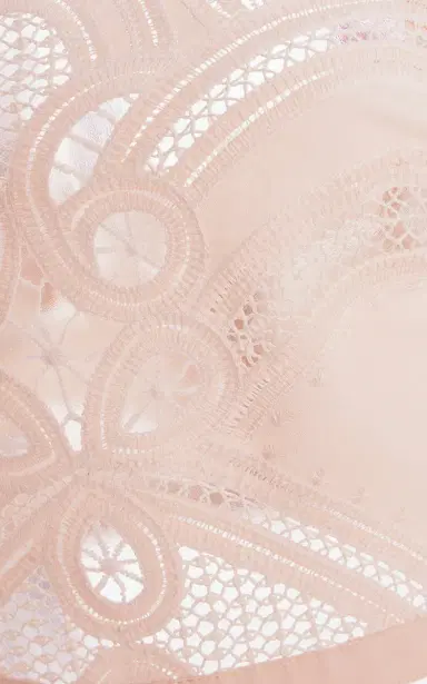 Elie Saab Embroidered Eyelet Crop Top | Thumbnail 5 Elie Saab Embroidered Eyelet Crop Top | Thumbnail 5
