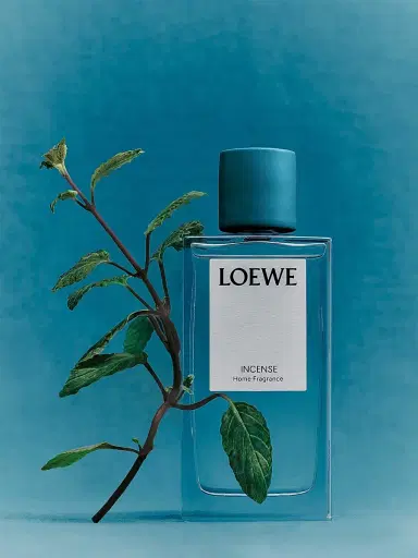 LOEWE PERFUMES Incense Home Fragrance - Size 5 oz | Thumbnail 4 LOEWE PERFUMES Incense Home Fragrance - Size 5 oz | Thumbnail 4