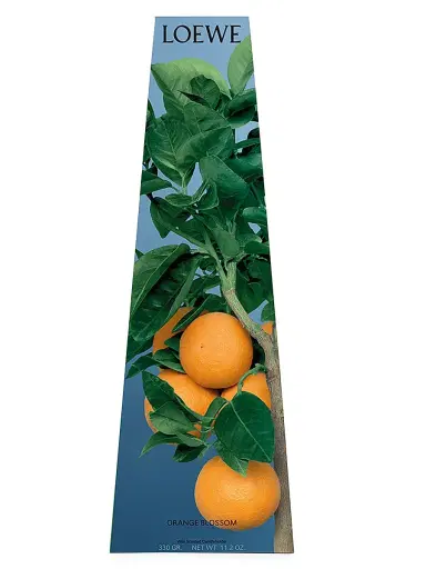 LOEWE PERFUMES Orange Blossom Scented Wax Candleholder | Thumbnail 2 LOEWE PERFUMES Orange Blossom Scented Wax Candleholder | Thumbnail 2