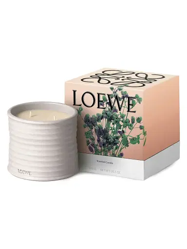 LOEWE PERFUMES Oregano Scented Candle - Size Large | Thumbnail 5 LOEWE PERFUMES Oregano Scented Candle - Size Large | Thumbnail 5