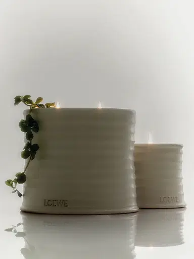 LOEWE PERFUMES Oregano Scented Candle - Size Large | Thumbnail 7 LOEWE PERFUMES Oregano Scented Candle - Size Large | Thumbnail 7
