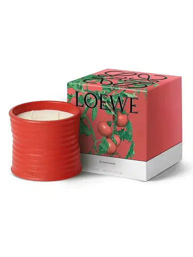 LOEWE PERFUMES Tomato Leaves Scented Candle - Size Large | Thumbnail 2 LOEWE PERFUMES Tomato Leaves Scented Candle - Size Large | Thumbnail 2