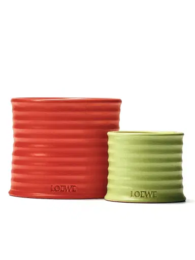 LOEWE PERFUMES Tomato Leaves Scented Candle - Size Large | Thumbnail 7 LOEWE PERFUMES Tomato Leaves Scented Candle - Size Large | Thumbnail 7