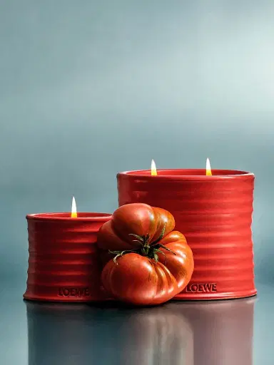 LOEWE PERFUMES Tomato Leaves Scented Candle - Size Large | Thumbnail 9 LOEWE PERFUMES Tomato Leaves Scented Candle - Size Large | Thumbnail 9