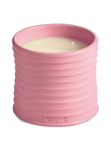 LOEWE PERFUMES Ivy Scented Candle - Size Large | Thumbnail 4 LOEWE PERFUMES Ivy Scented Candle - Size Large | Thumbnail 4