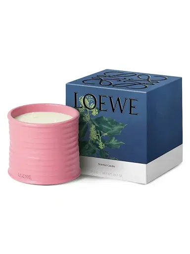 LOEWE PERFUMES Ivy Scented Candle - Size Large | Thumbnail 5 LOEWE PERFUMES Ivy Scented Candle - Size Large | Thumbnail 5