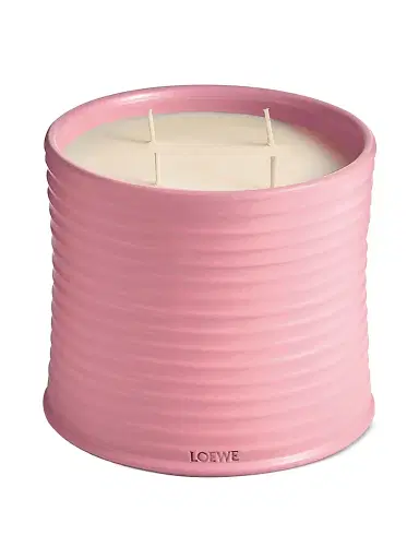 LOEWE PERFUMES Ivy Scented Candle - Size Large | Thumbnail 6 LOEWE PERFUMES Ivy Scented Candle - Size Large | Thumbnail 6
