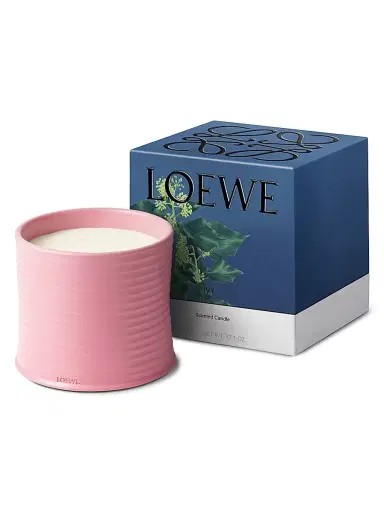 LOEWE PERFUMES Ivy Scented Candle - Size Large | Thumbnail 7 LOEWE PERFUMES Ivy Scented Candle - Size Large | Thumbnail 7