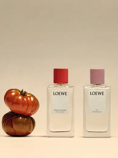 LOEWE PERFUMES Tomato Leaves Home Fragrance | Thumbnail 4 LOEWE PERFUMES Tomato Leaves Home Fragrance | Thumbnail 4