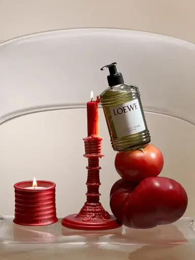 LOEWE PERFUMES Tomato Leaves Scented Wax Candleholder | Thumbnail 3 LOEWE PERFUMES Tomato Leaves Scented Wax Candleholder | Thumbnail 3